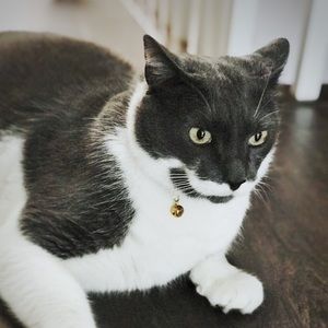 Meet your Posher, Christina